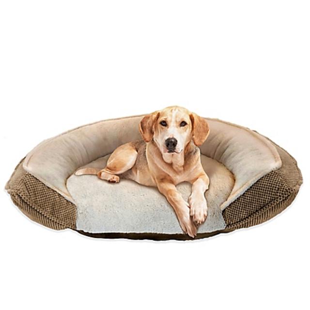 Pawslife™ Orthopedic Step-In 45-Inch x 34-Inch Pet Bed