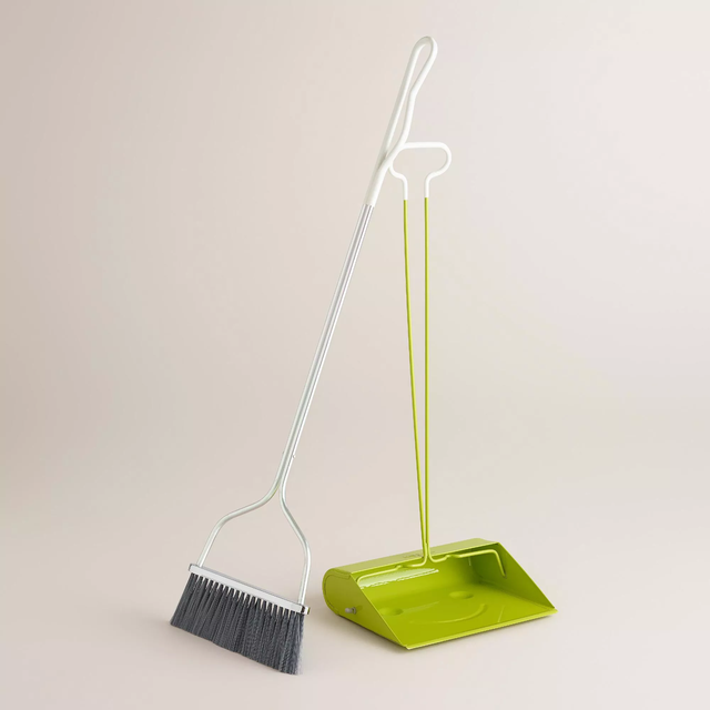 Apple Green Long Handle Smiley Dustpan