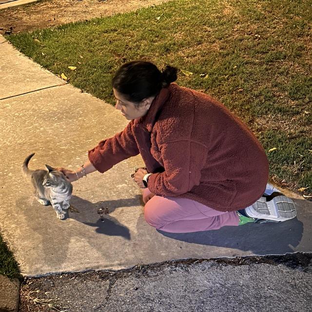 Kitty Fund