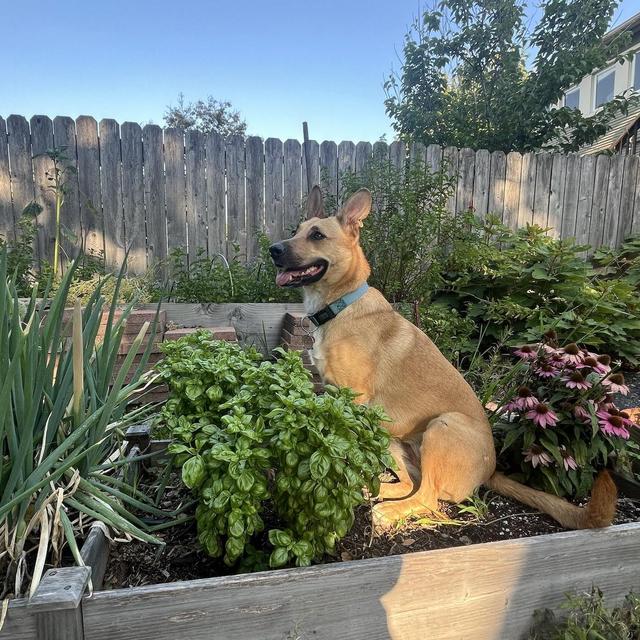 Garden fund