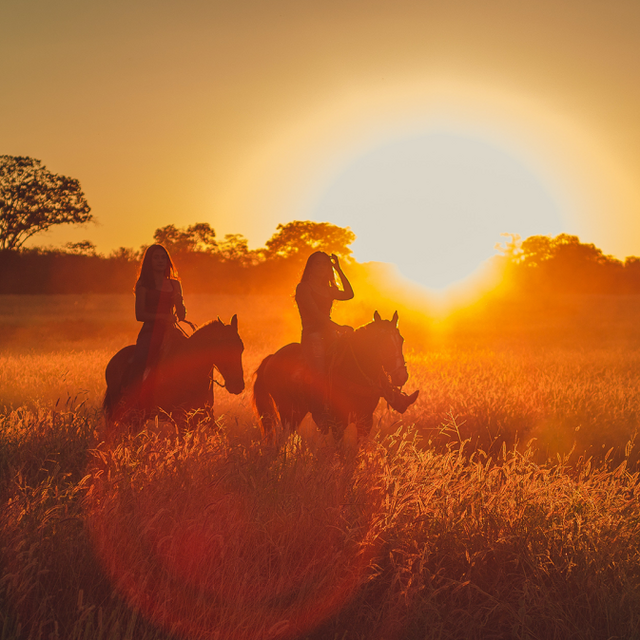 Trail adventure on horseback