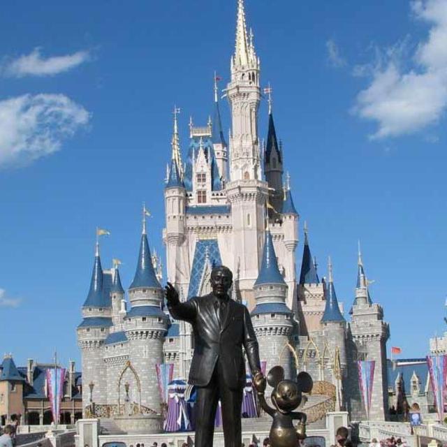 Magic Kingdom Ticket