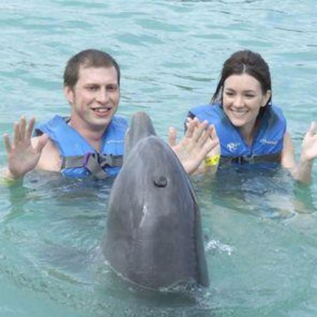 Swimming with Dolphins in Falmouth Jamaica