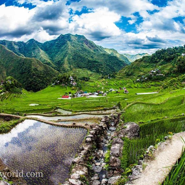 Asian Adventure Honeymoon Fund