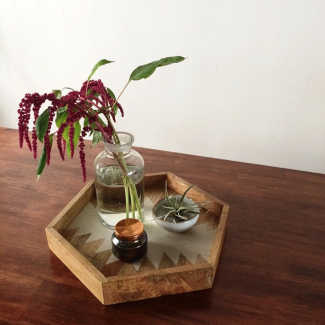 Nate Berkus Wood and Resin Hexagon Tray