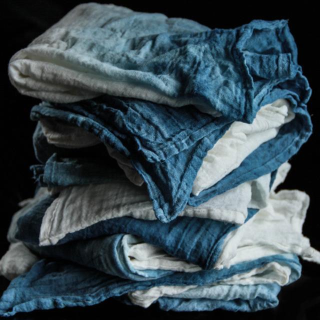 Indigo Plant-Dyed Napkins (set of 2)