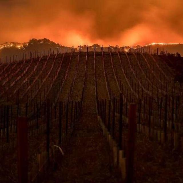 Fund for Northern California Wildfire Victims