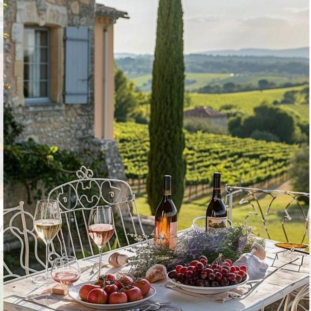 Provence Wine Tour