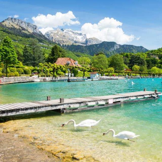 Airbnbs in the Alps!