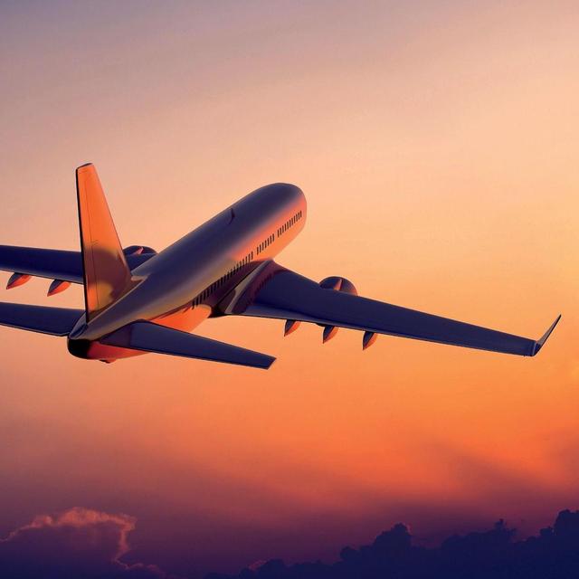 Flight
