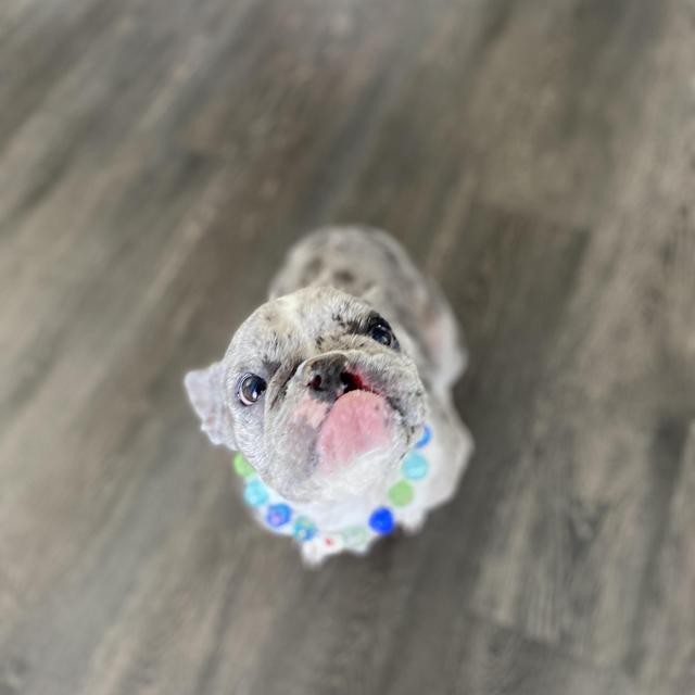 Stormi’s next friend fund