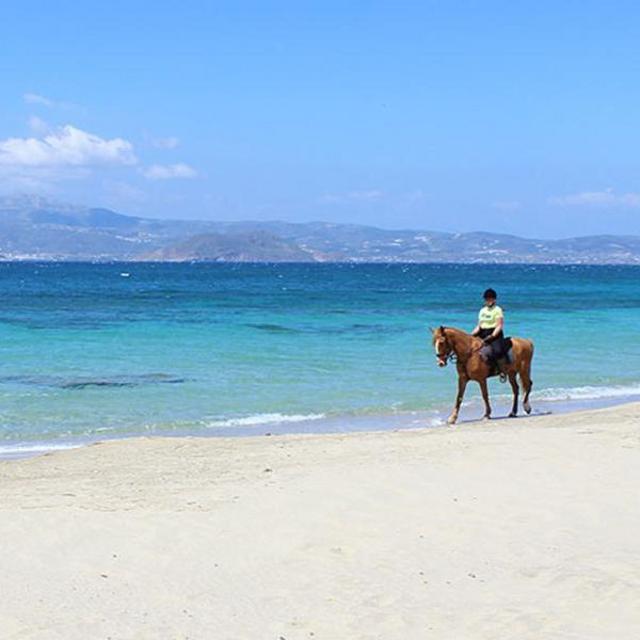 Santorini horseback ride