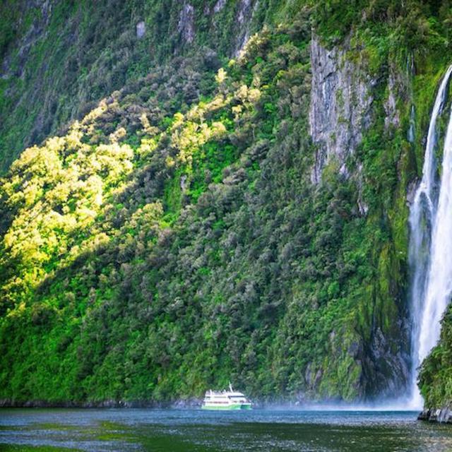 Honeymoon - Milford Sound Tour