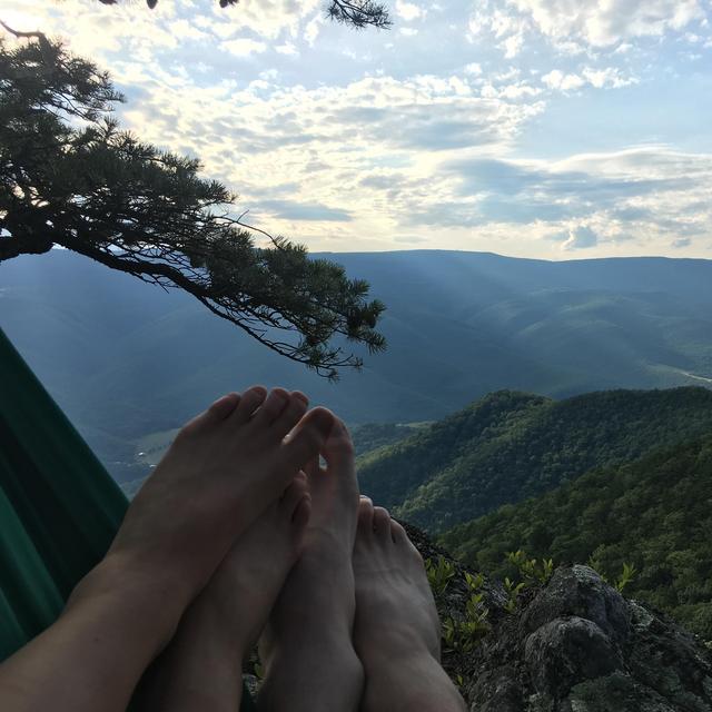 Hawaiian Honeymoon Cash Fund