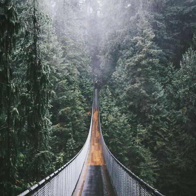 Capilano Suspension Bridge Park