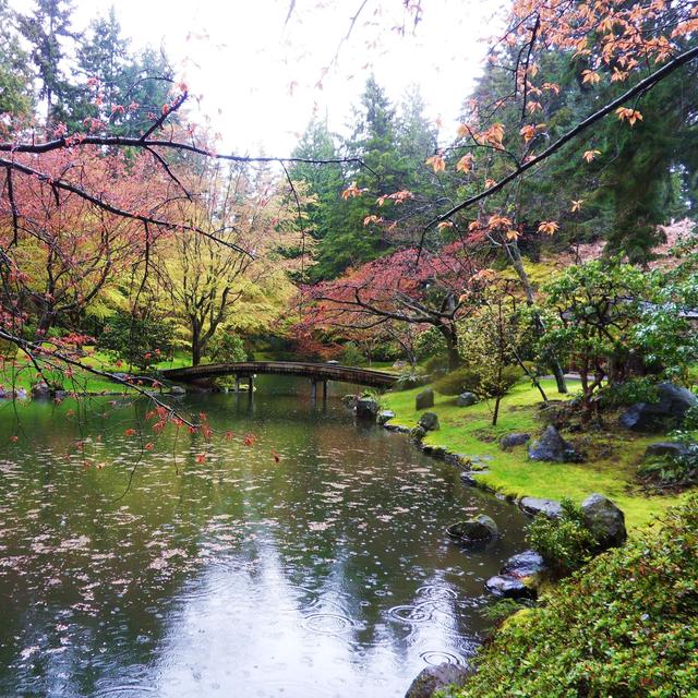 Nitobe Memorial Garden