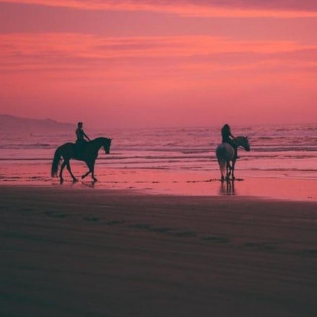 Horseback Riding on our Honeymoon