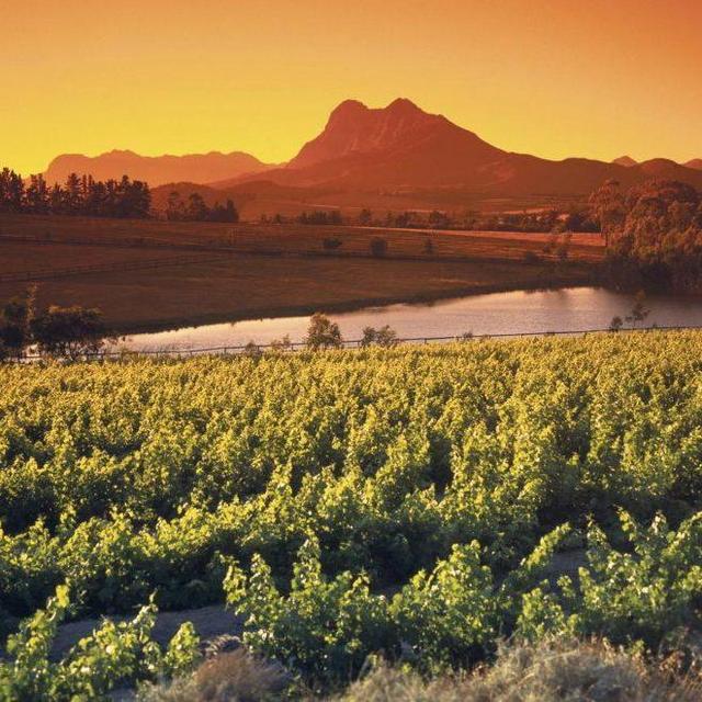 World-Class Wine &Vineyards