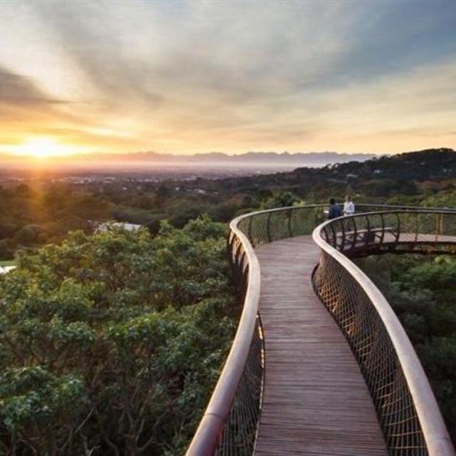 Boomslang Kirstenbosch Gardens Tour & Picnic
