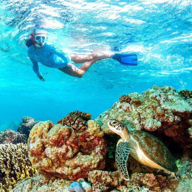 Snorkling in Seychelles