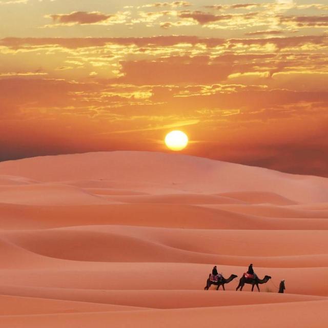 Sunrise Desert Safari