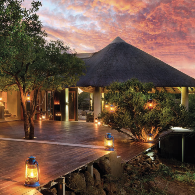 Private Dinner & Champagne in our Safari Suite