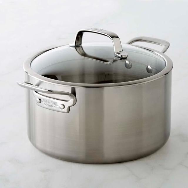 Williams-Sonoma Professional Stainless-Steel Stock Pot, 8-Qt.
