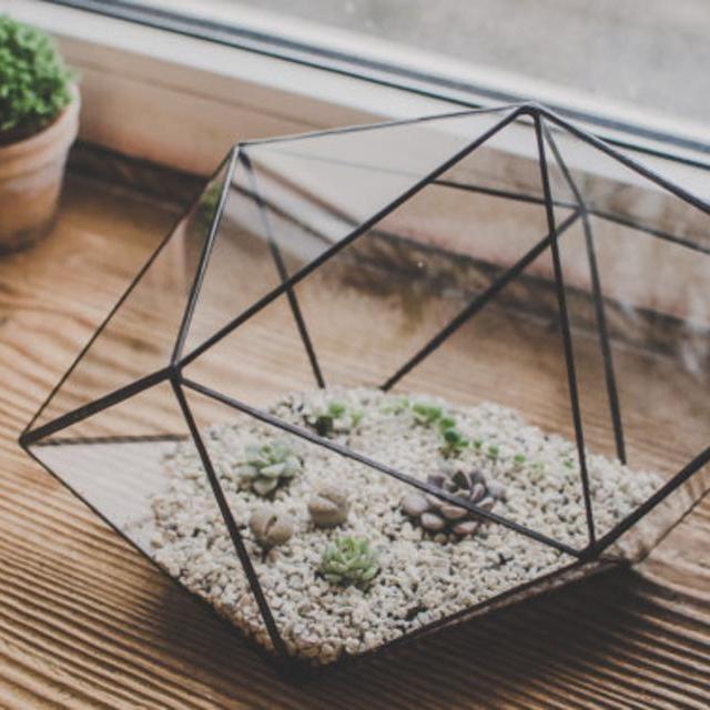 Terrarium