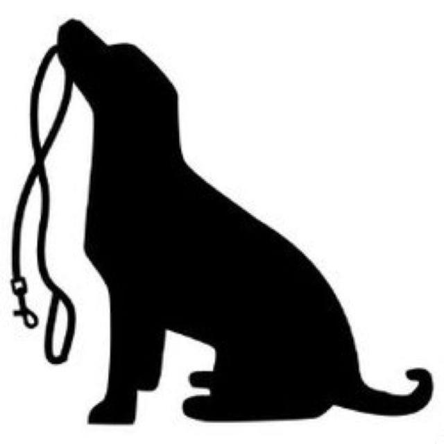 Dog Walking!