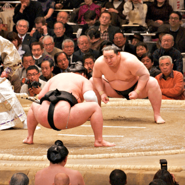 Early Morning Sumo Training