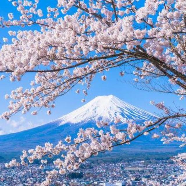 Hike Mt Fuij!