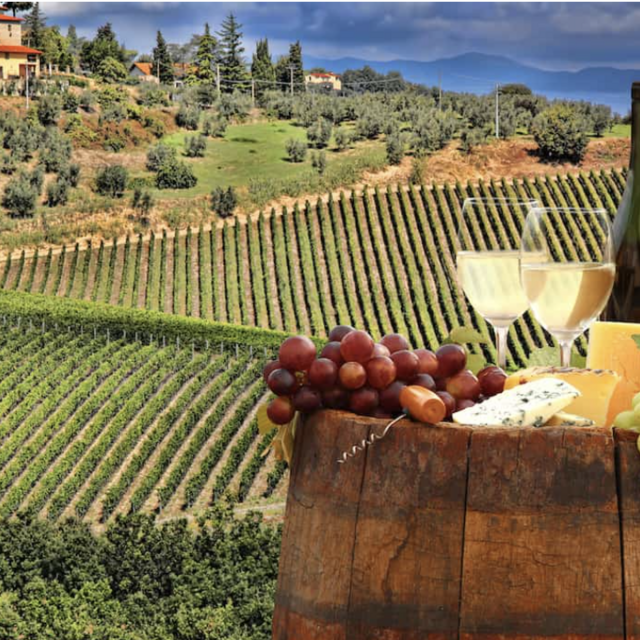 Tuscany Wine Tour & Tasting