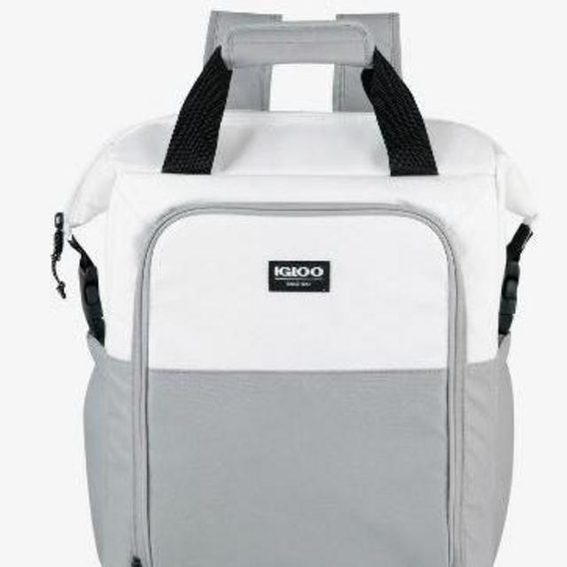 Switch 30-Can Backpack