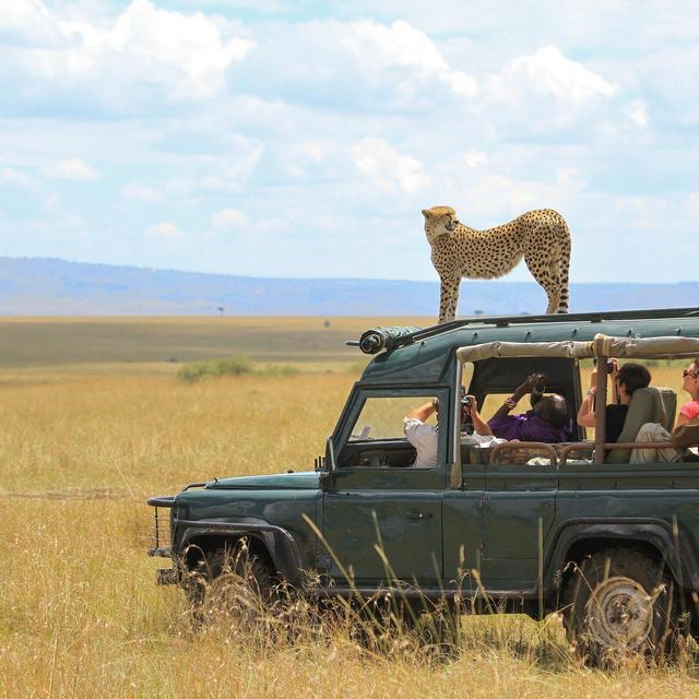 Safari Honeymoon Fund
