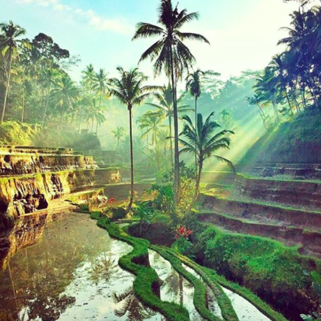 Southeast Asia Honeymoon