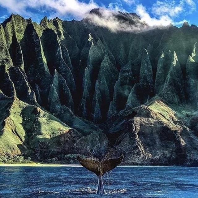 Honeymoon - Sunset Snorkeling