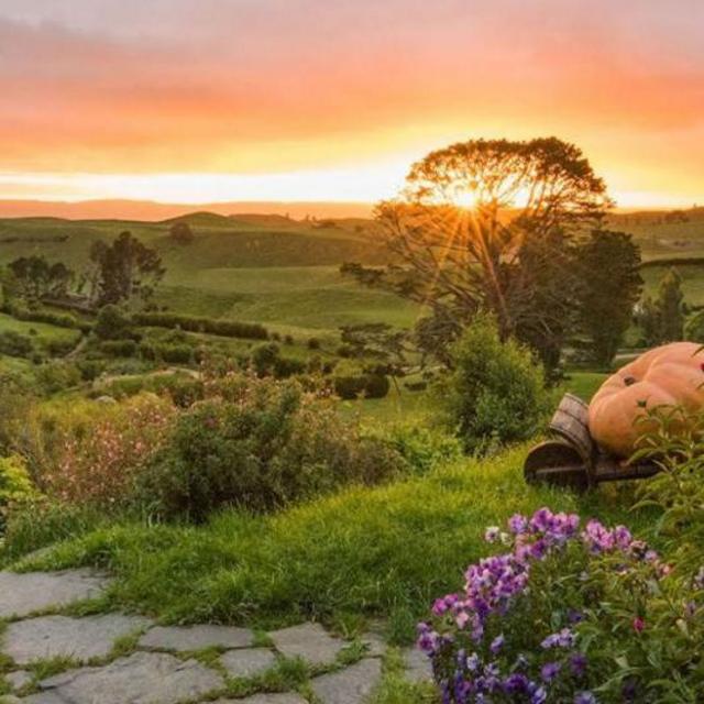 Our New Zealand Honeymoon Fund