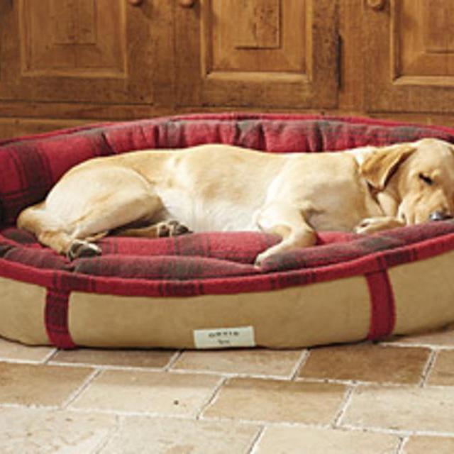 Extra-Small Wraparound Dog Bed in Chocolate