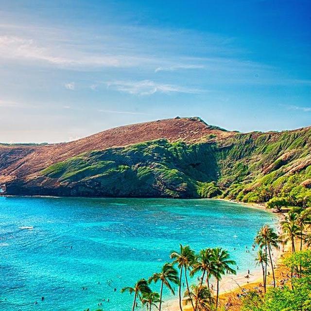 Hawaiian Honeymoon!