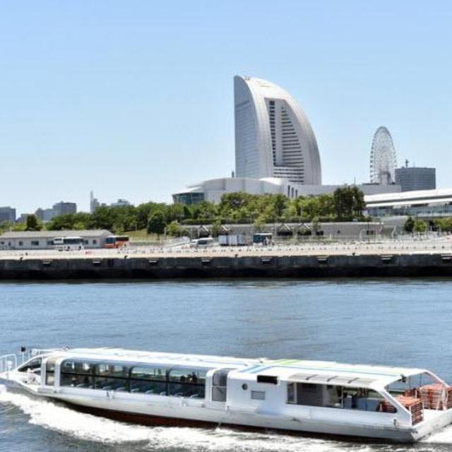 Yokohama - Sea Bass Boat Tour