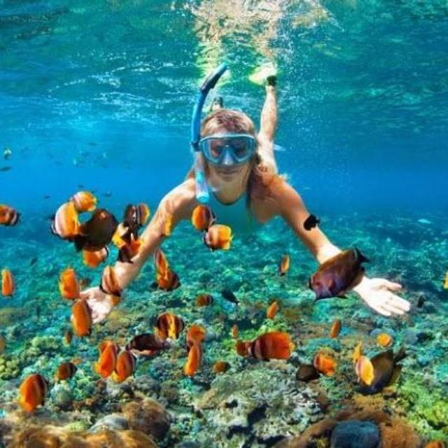 Gili Islands - Snorkeling Tour