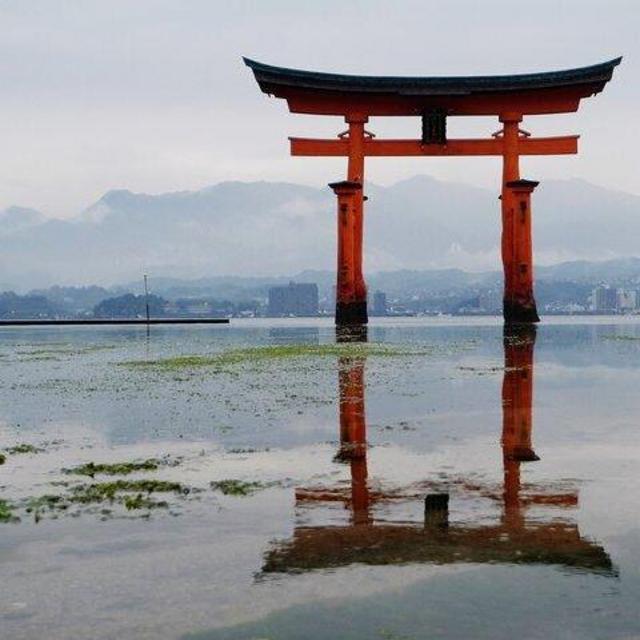 Japan Fund