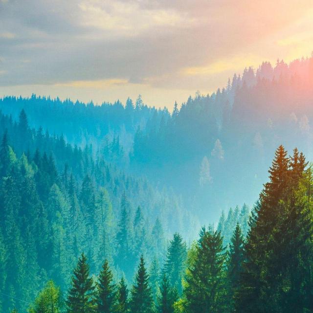 Climate Fund