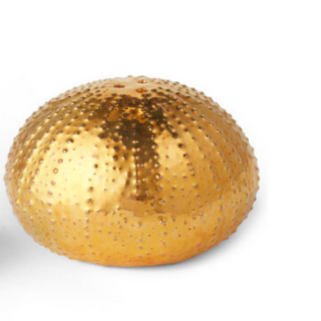 Sea Urchin Salt and Pepper Shakers