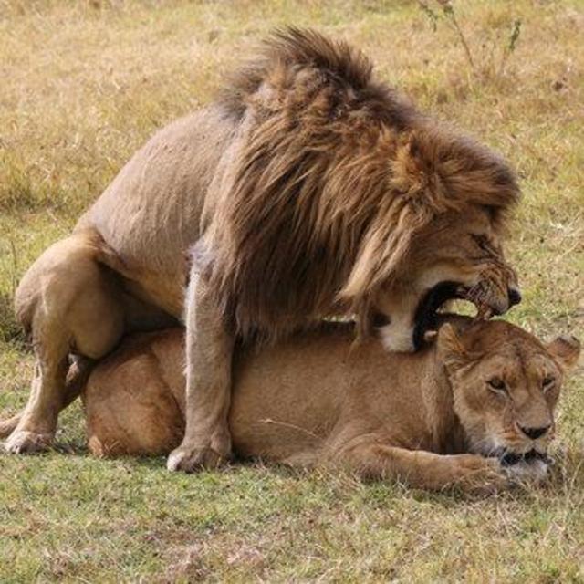 And the big Honeymoon, in winter...