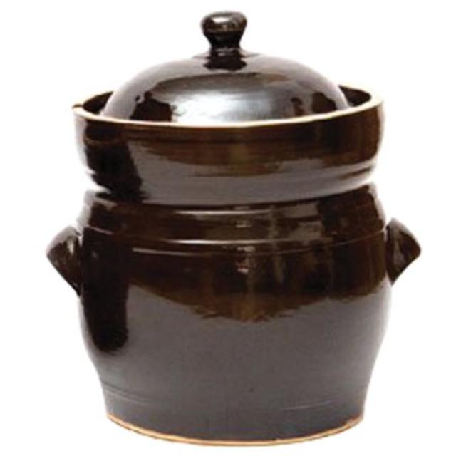 TSM Products Fermentation Pot, 10 Liter capacity