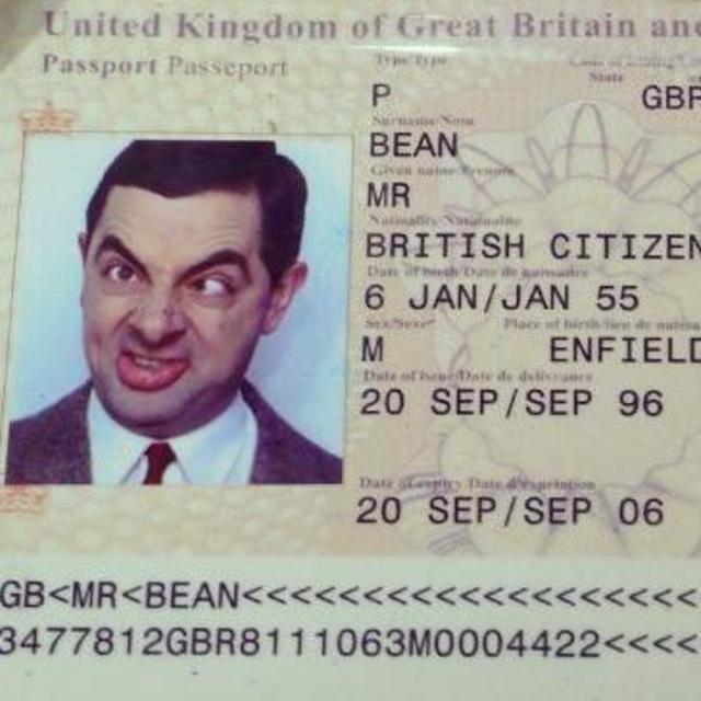 Fake Passport (No reason)