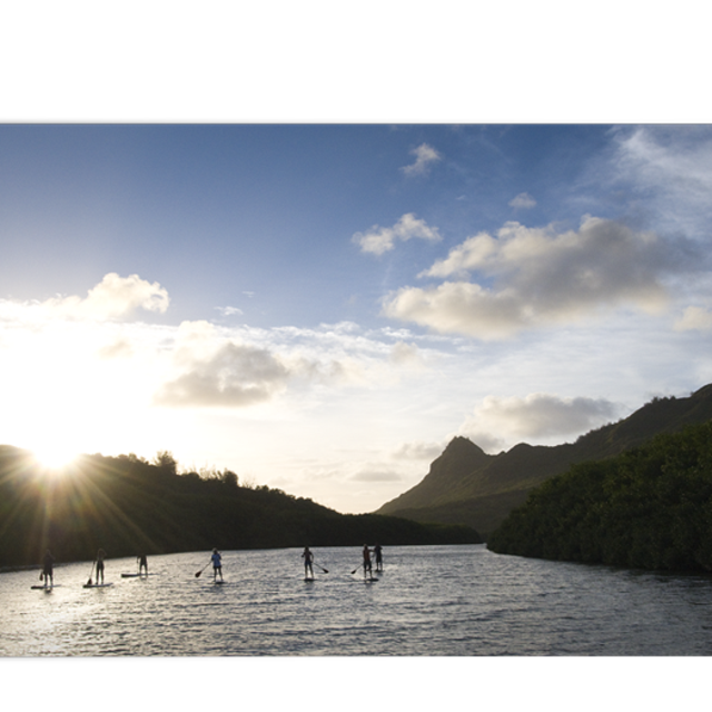 Stand Up Paddle Board Rental