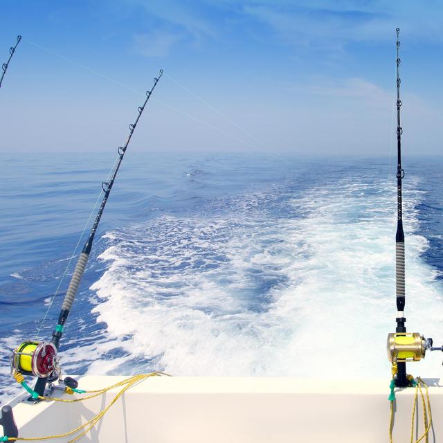 Deep Sea Fishing Trip