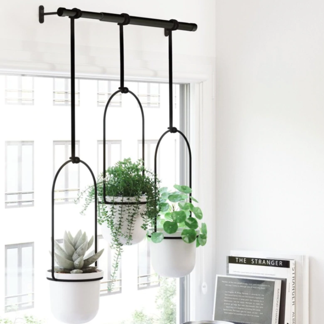TRIFLORA HANGING PLANTER